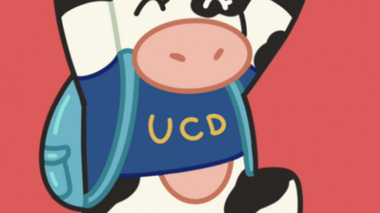 Illustration of cow wearing UCD tee & backpack and holding a key