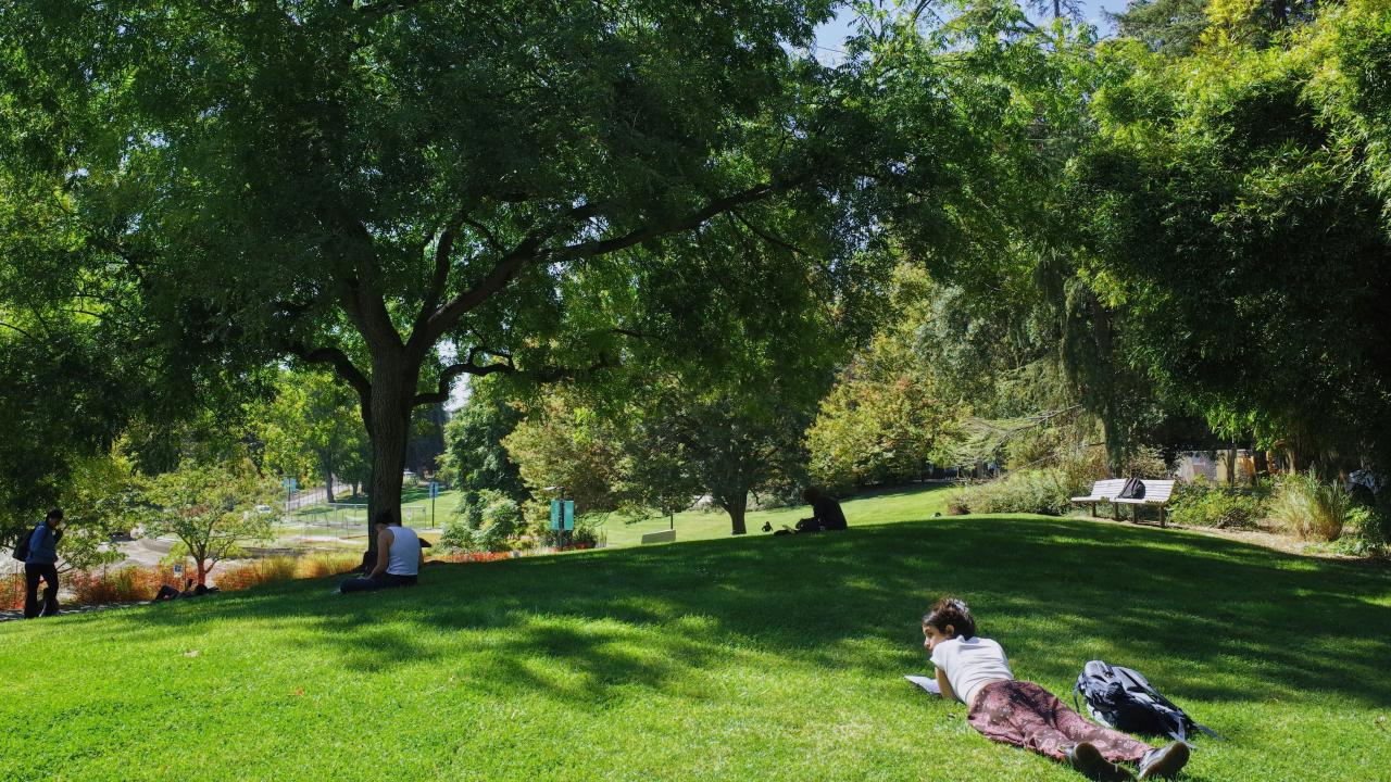 A woman laying on a lawn