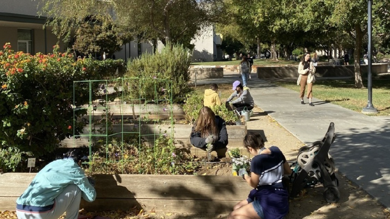 Garden: Residents gardening at the Segundo Resident Garden