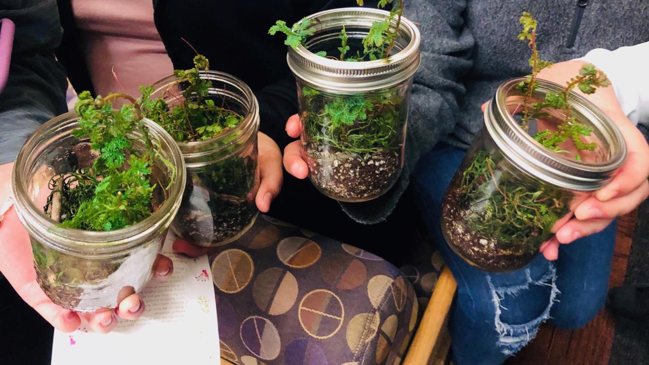 hands holding terrariums made out of recycled glass jars