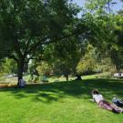 A woman laying on a lawn
